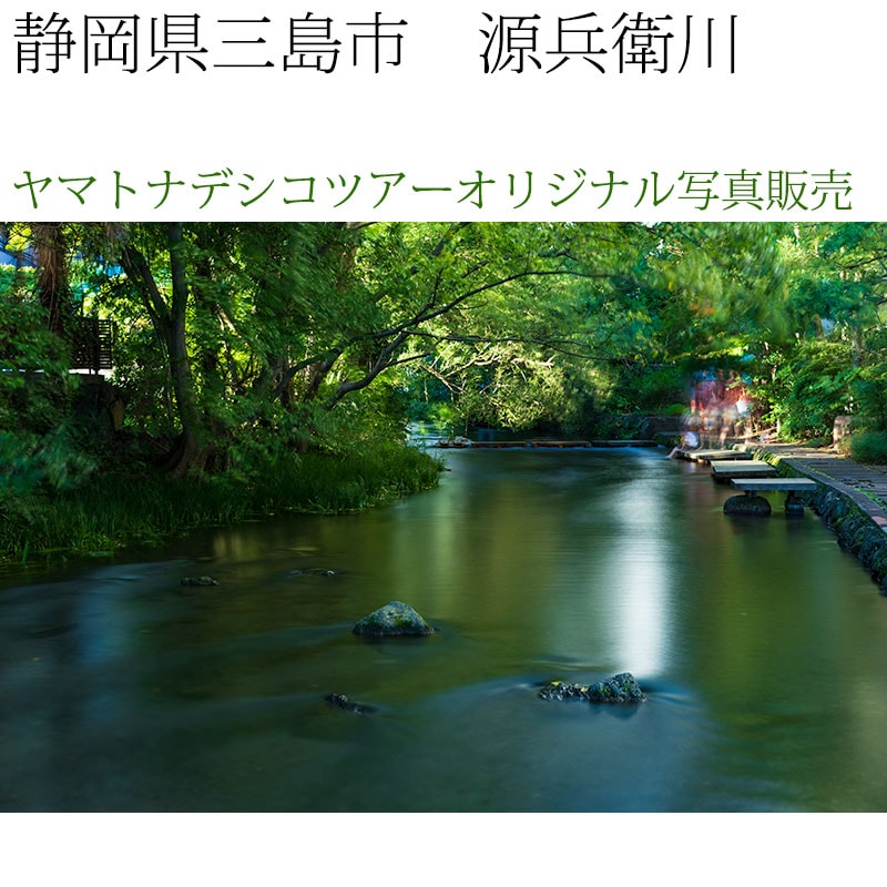 日本紀行　静岡県三島市　源兵衛川 (nk19-180928-147)　当店オリジナル写真販売　Original photograph  Genbe River