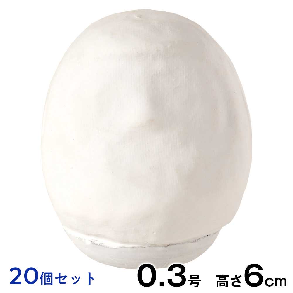 20個セット　高崎だるま　おえかき白だるま（0.3号・高さ6cm）　立体ぬり絵　工作用　ワークショップ　手作り体験　親子で楽しめる自由研究　群馬県指定ふるさと伝統工芸品