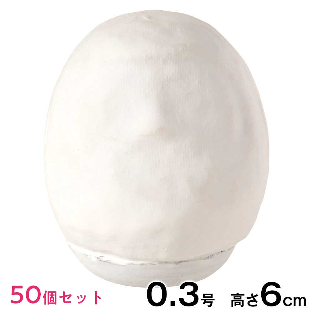 50個セット 高崎だるま おえかき白だるま（0.3号・高さ6cm） 立体ぬり