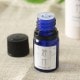 cotoiro香油　若竹　和の香りのアロマオイル　紙管入り　ART LAB　Japanese scented aroma oil