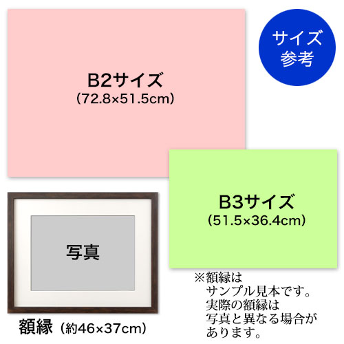 FROM JAPAN　海楼春景色図　絹本　證書付　額装　C　R6950B WISH】在銘：春景 日本画 掛軸 絹本 ◇桜に鳥・春色花鳥逸品