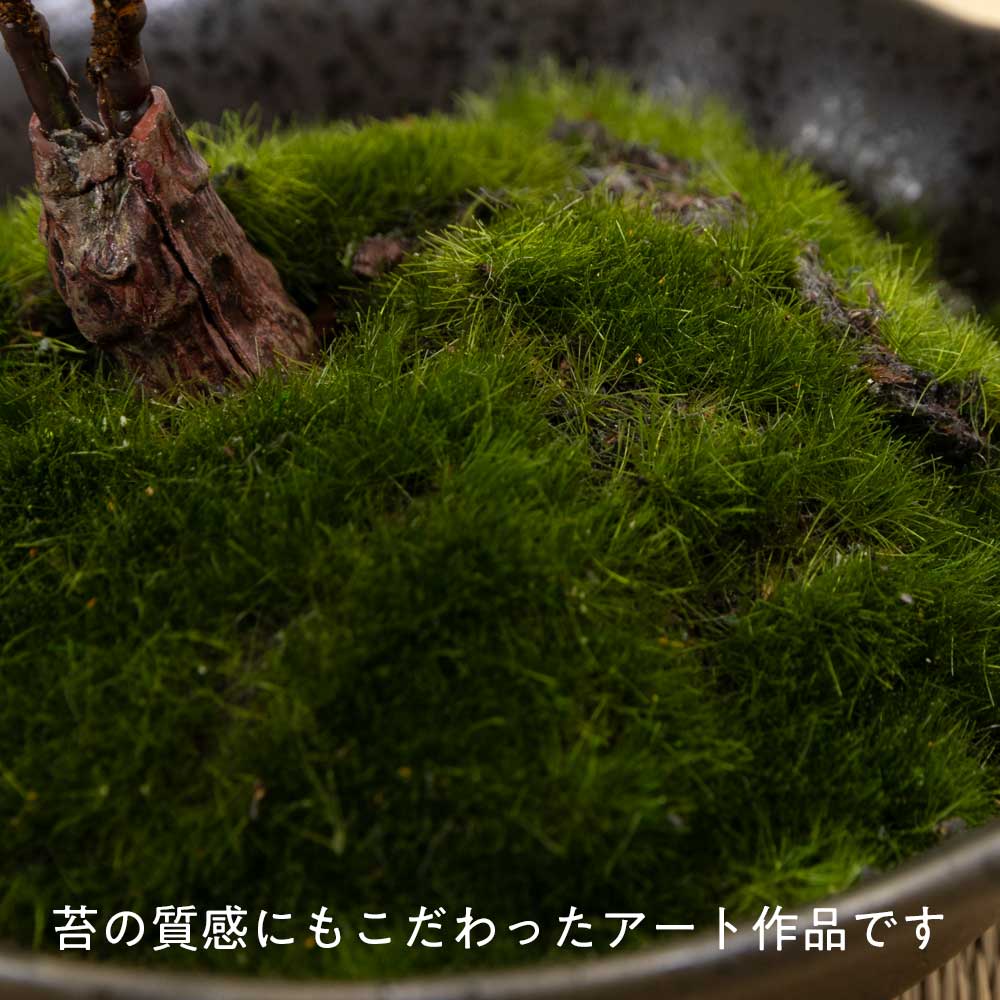 フェイクアート盆栽 然-ZEN- 寸-SUN-ミディアム10 本物を知る庭師職人がリアルな盆栽をイメージして作ったBONSAIモデル 日本的和風インテリア