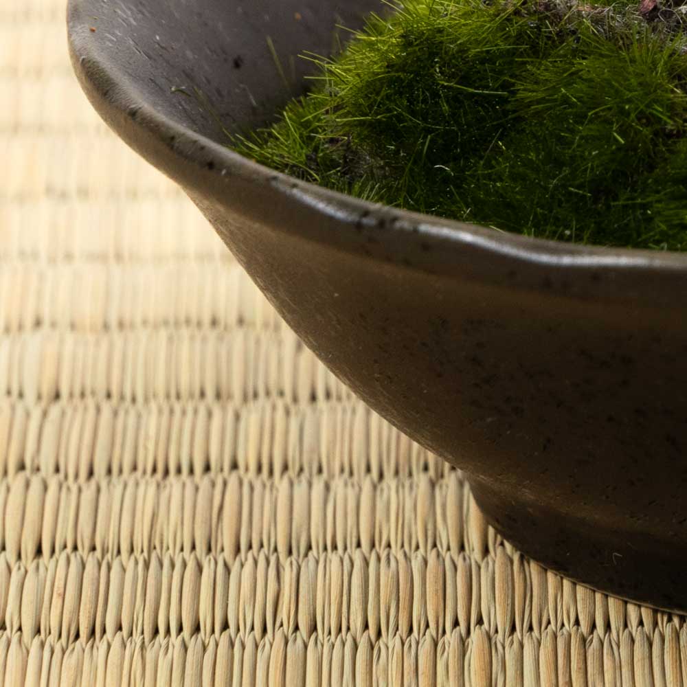 フェイクアート盆栽 然-ZEN- 寸-SUN-ミディアム10 本物を知る庭師職人がリアルな盆栽をイメージして作ったBONSAIモデル 日本的和風インテリア