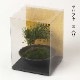 フェイクアート盆栽 然-ZEN- 寸-SUN-ミディアム10 本物を知る庭師職人がリアルな盆栽をイメージして作ったBONSAIモデル 日本的和風インテリア
