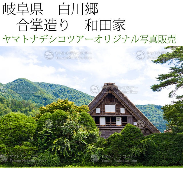 脇田 和、「島の記念像」、希少画集・額装画、日本製・新品額縁にて額装致します 10386_middle.jpg