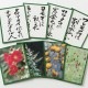 奥野かるた店　花おりおりかるた　朝日新聞の人気コラム「花おりおり」から生まれたかるた　Flower karuta game