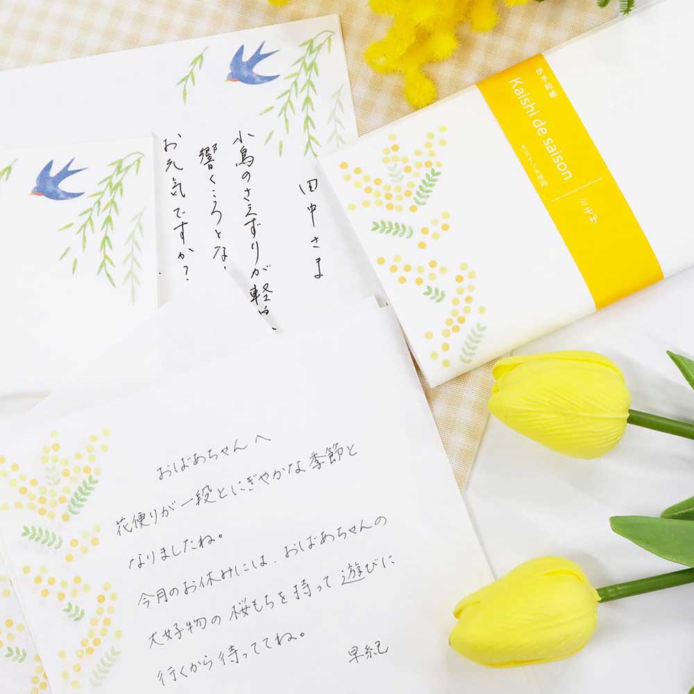 SAIEN 懐紙 Kaishi de saison 珊瑚 (No.3051) 20枚入り 伊予和紙 17.5×14.5cm 和柄 和風 茶道具