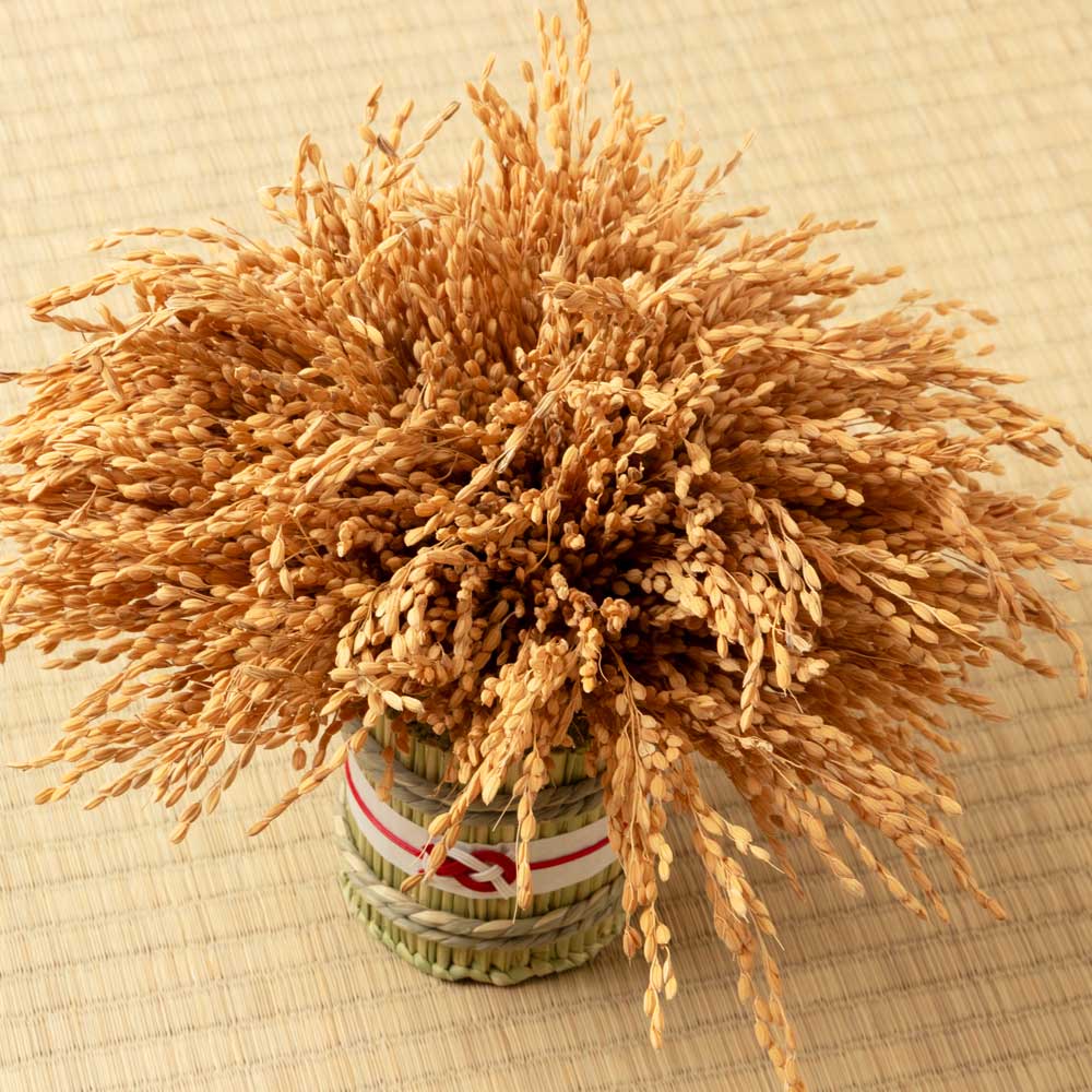 高崎だるま 2026年干支だるま午 瑞竹 稲穂門松付きペアセット 茶+桃 令和8年 馬 うま 招福万来の正月飾り 縁起物 置物 インテリア 群馬県指定ふるさと伝統工芸品