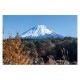 富士山ポストカード 精進湖から富士山を望む (YN-005) 当店オリジナル写真絵はがき
