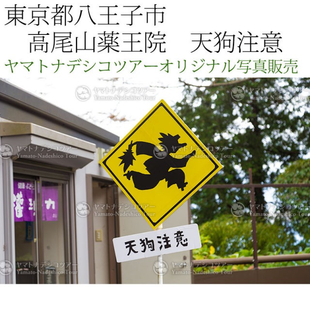 日本紀行 東京都八王子市 高尾山薬王院 天狗注意 (nk13-161029
