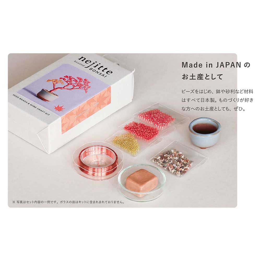 miyuki ネジッテBONSAIキット〈紅葉〉｜秋を彩る、色づく紅葉