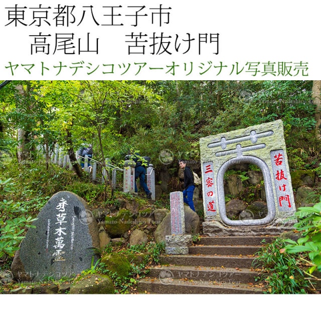 【出品8/26まで】余村展「記憶の底から」油彩 1986年 直筆サイン入 古径額 希少】分部佳英 1988年 油彩画 「花畑にて」直筆サイン入り 額縁
