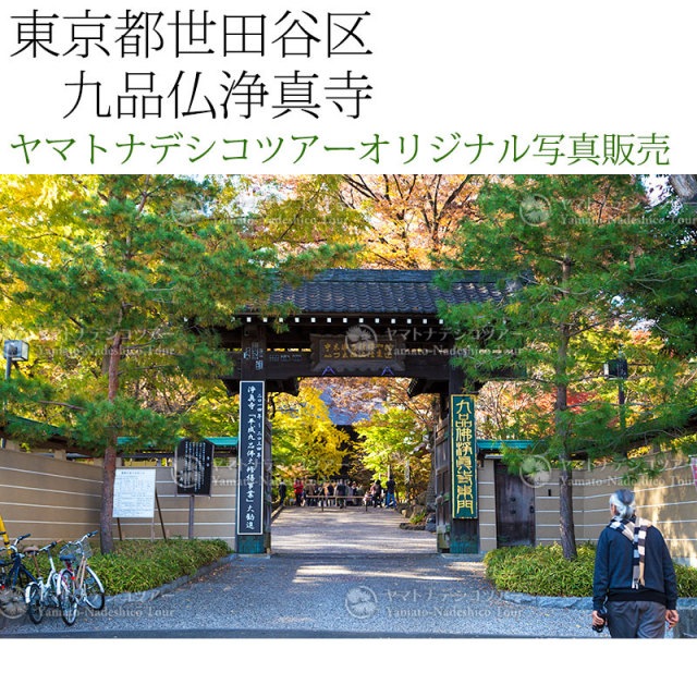 日本紀行 東京都世田谷区 九品仏浄真寺 (nk13-161126-1) 当店