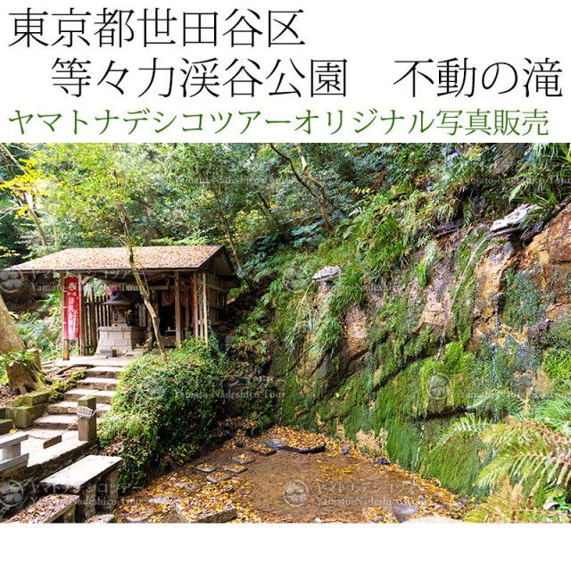 日本紀行 東京都世田谷区 等々力渓谷公園 不動の滝 (nk13-161126-181