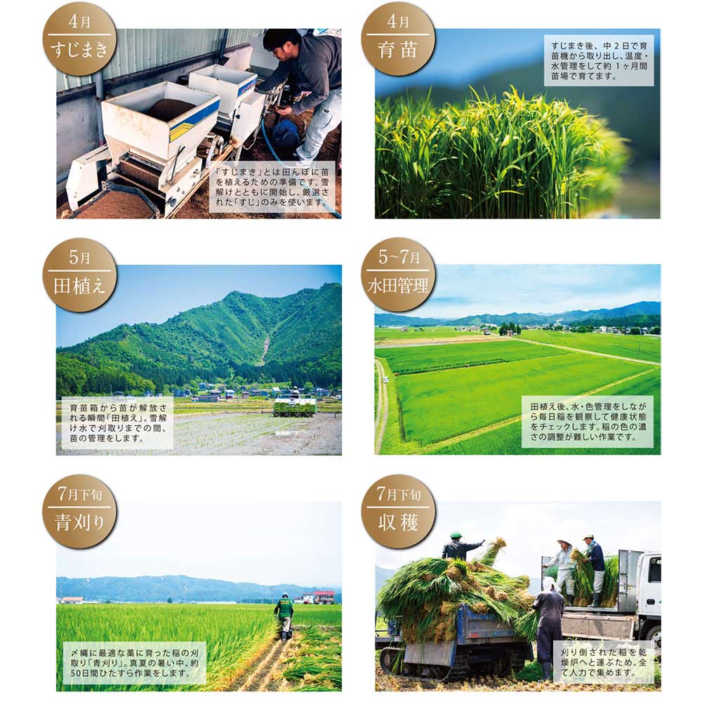 竹治郎 国産しめ縄 大根〆荒神一尺(ゴヘイ付き)〆縄【数量限定】 神棚 正月飾り 無病息災・家内安全 新潟県南魚沼で生産・製造された注連縄 Shimenawa Sacred rope Niigata craft