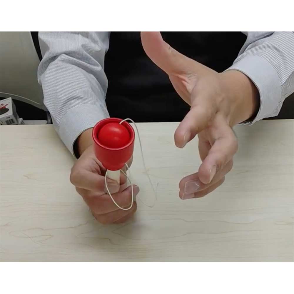 レシオのけん玉 カップけん玉 木のおもちゃ 木製玩具 IL LECCIO