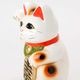 常滑焼　招き猫　5号小判白猫貯金箱　右手上げ (143-57-86)　愛知県の工芸品　Tokoname-yaki Lucky cat