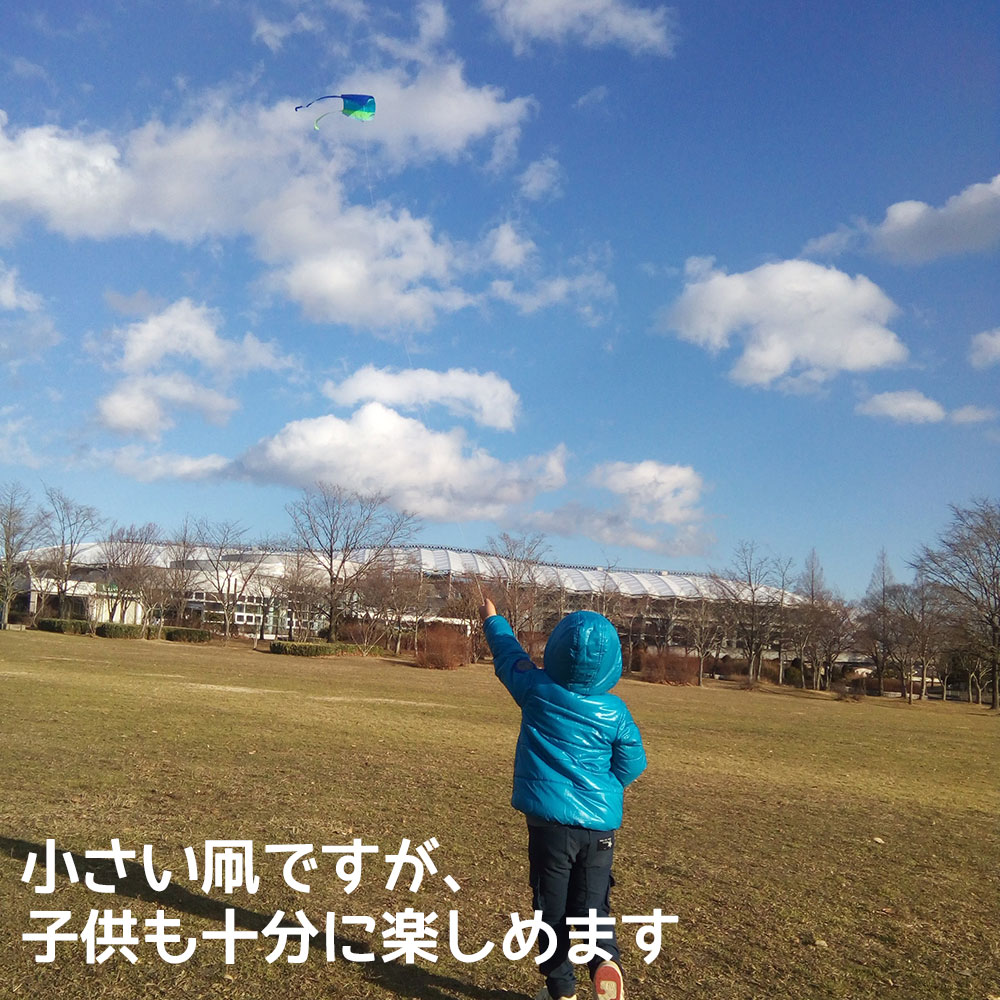 ポケットカイト レッド Pocket Kite 風に乗って気持ちよく飛ぶ凧 対象年齢6歳以上