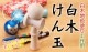 白木けん玉　白木地　好きな色に塗って楽しむ工作用の木のおもちゃ　無地・色なし　山形県の木地玩具