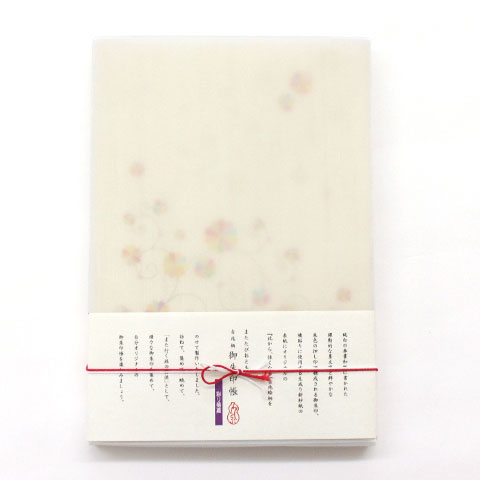 和詩倶楽部 御朱印帳〈彩り菊蔓〉奉書紙×紗紙・蛇腹｜朱印を重ねる旅の