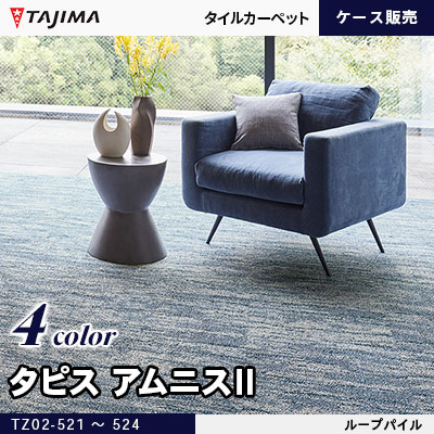 タピス アムニスⅡ 抽象柄 11mm厚 4色 (TZ02-521～524) タジマ タイルカーペット ケース販売