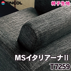 T7259 ［MSイタリアーナⅡ］ シンコール 椅子生地