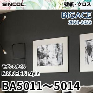 BA5011～5014 シンコール 壁紙 [ビッグエース] モダンスタイル (防かび) m販売