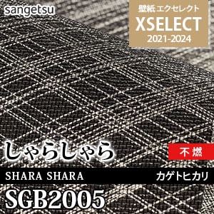 SGB2005 カゲトヒカリ [エクセレクト] サンゲツ 壁紙クロス (90cm巾/3m巻/不燃/繊維系壁紙)  本売り ※別品番：KAG112C