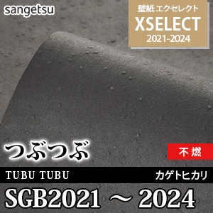 SGB2021～2024 サンゲツ 壁紙 エクセレクト 旧品番(21-24)