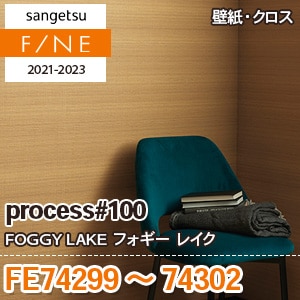 Reページ E model reviews - ZX-9R.Net Forum