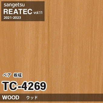 木の根 根詰まりした鉢植えのセイネンノキの木の根のアップ 写真素材 [5539809