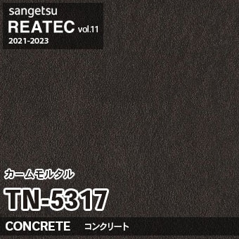 TN5317 カームモルタル (コンクリート) サンゲツ リアテック vol.12 2024-26 m販売