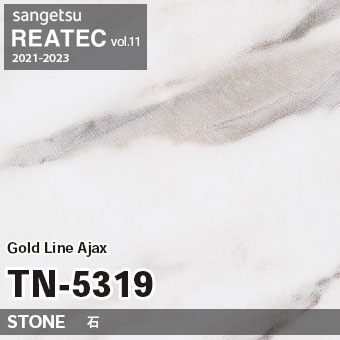 TN5319 Gold Line Ajax (ストーン) サンゲツ リアテック vol.12 2024