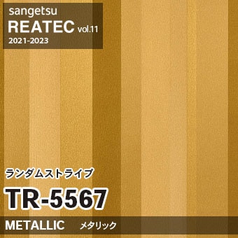 TR5567 ランダムストライプ (フューチャーポップ) サンゲツ リアテック vol.12 2024-26 m販売