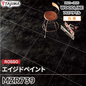 MZR739 [エイジドペイント] タジマ フロアタイル (マティルロッソ