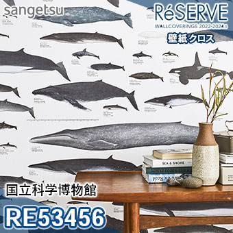 Re サンゲツ 壁紙 リザーブ M販売