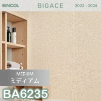 FE74267 サンゲツ 壁紙 ファイン m販売 ワコードープロ