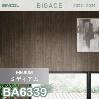 あーと様確認ページ AMBIDEX Store △○ボーダー配色バインダー 製品染めBIGカットソー(F