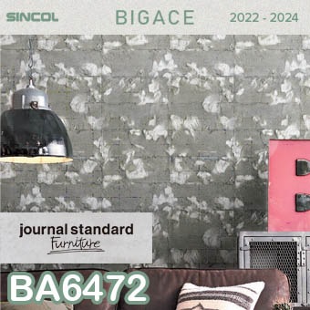 Pthc BA6472 (旧) シンコール 壁紙 ビッグエース 2022-2024