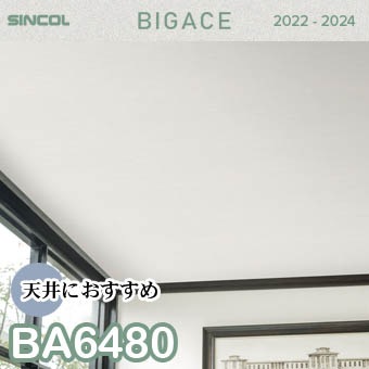 BA6480 （旧） 天井 シンコール 壁紙 ビッグエース 2022-2024