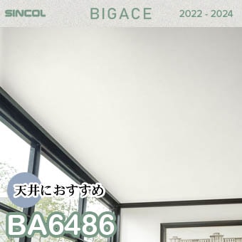 BA6486 天井 シンコール 壁紙 ビッグエース 2022-2024 m販売