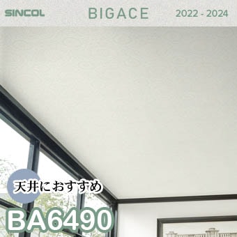 BA6490 天井 シンコール 壁紙 ビッグエース 2022-2024 ※廃番