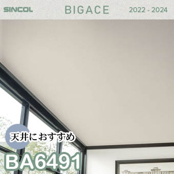 BA6491 天井 シンコール 壁紙 ビッグエース 2022-2024 ※廃番