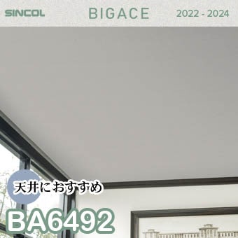 BA6492 天井 シンコール 壁紙 ビッグエース 2022-2024 ※廃番