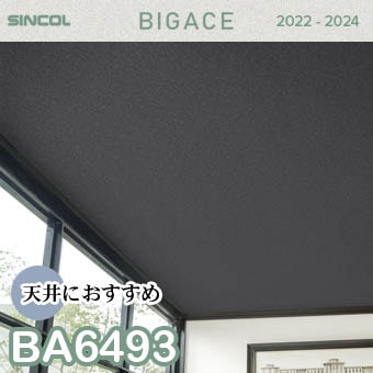 BA6493 天井 シンコール 壁紙 ビッグエース 2022-2024 ※廃番