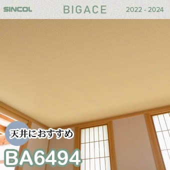 BA6494 天井 シンコール 壁紙 ビッグエース 2022-2024 ※廃番