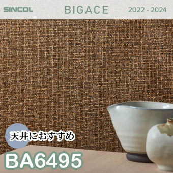 BA6495 天井 シンコール 壁紙 ビッグエース 2022-2024 ※廃番