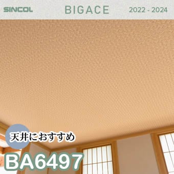 BA6497 （旧） 天井 シンコール 壁紙 ビッグエース 2022-2024
