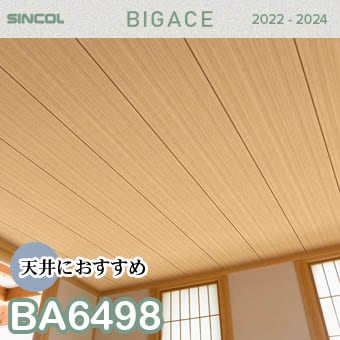 BA6498 （旧） 天井 シンコール 壁紙 ビッグエース 2022-2024