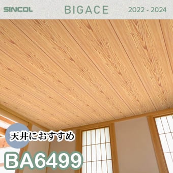 BA6499 （旧） 天井 シンコール 壁紙 ビッグエース 2022-2024